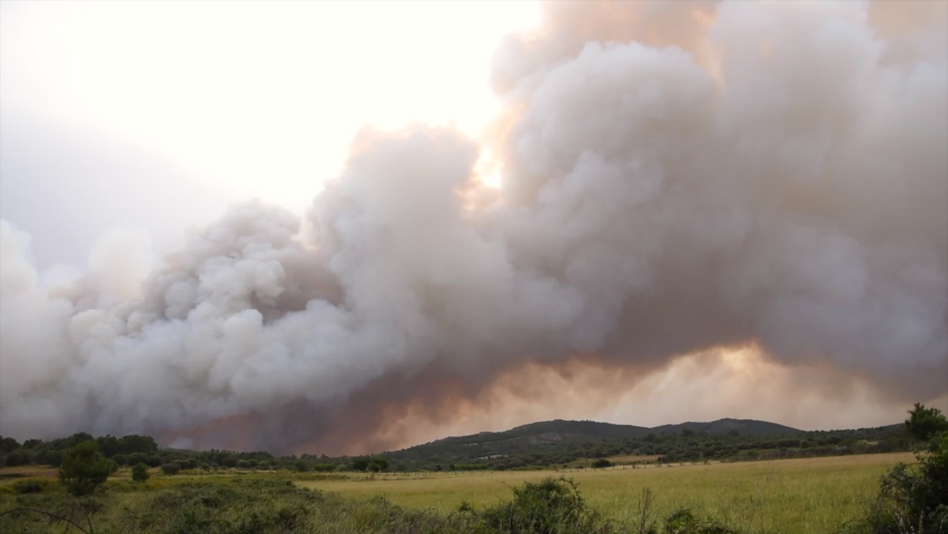 Smoke Over Burning Forest. Large Smoke Clouds in a Wild Fire in Spain | Shutterstock HD Video #1094841423