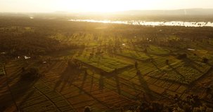 Nature video aerial view landscape 
Meadow field in sunset time