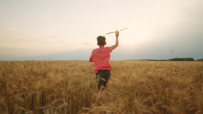 Little boy is running on gold rye field, carrying toy plane, rear view, carefree and happy child | Shutterstock HD Video #1094854127