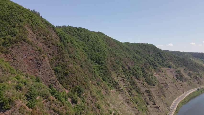 Aerial Dolly Shot Revealing The Vineyard Fields On The Steep Hillside At Bremm Moselle Loop