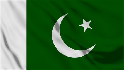 Seamless Loop Animation Pakistan Flag Cricket Stock Footage Video (100% ...