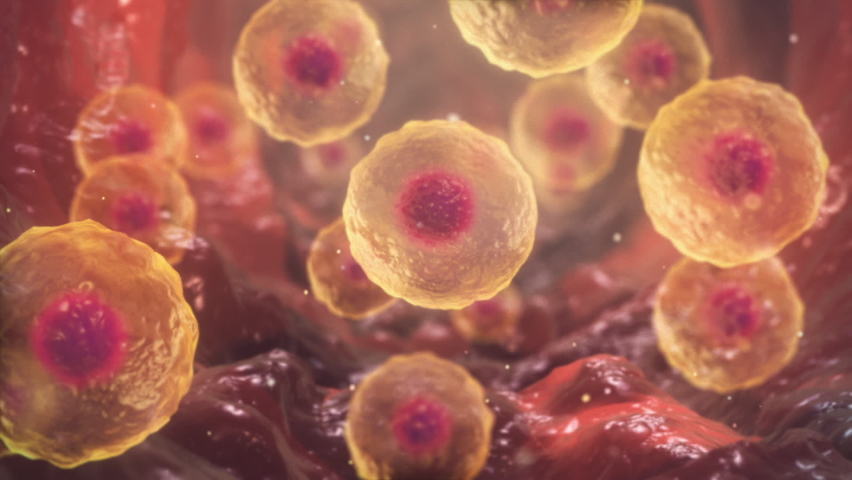 3D Animation of Cell division under a microscope. Cloning Cells. Cell mitosis concept. Inside Human Body