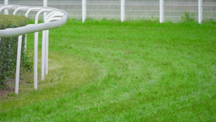 Horse racing, hooves scatter grass during the race. Recorded in slow motion. Royalty-Free Stock Footage #1094945839