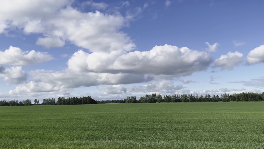 View from a passing car on the road to green trees and a field against a blue sky with clouds. High quality 4k footage | Shutterstock HD Video #1094947059