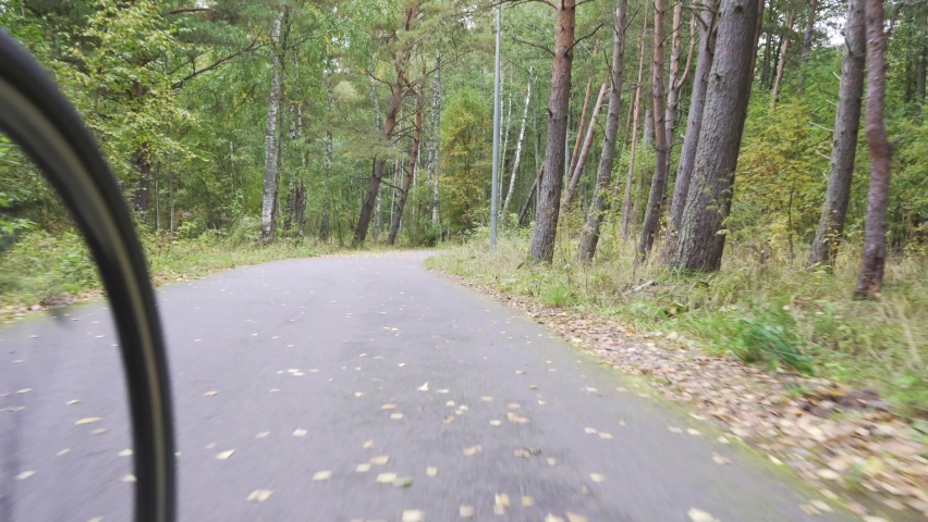 Bike rides through the autumn forest. the bike path runs away | Shutterstock HD Video #1094951613