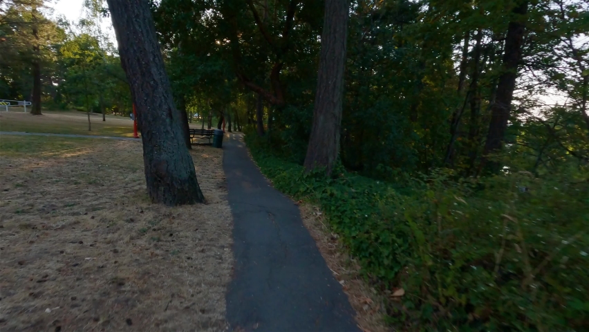 Trail in a park with vibrant green trees. Sunny summer sunset. Esquimalt Gorge Park, Victoria, Vancouver Island, British Columbia, Canada.
