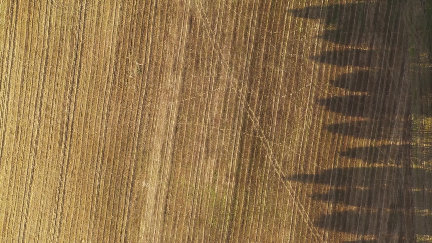 Plowed fallow agricultural fields and tree lined dirt road, overhead across