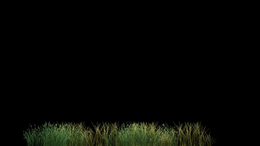 Grass field motion graphics with night background | Shutterstock HD Video #1094962577