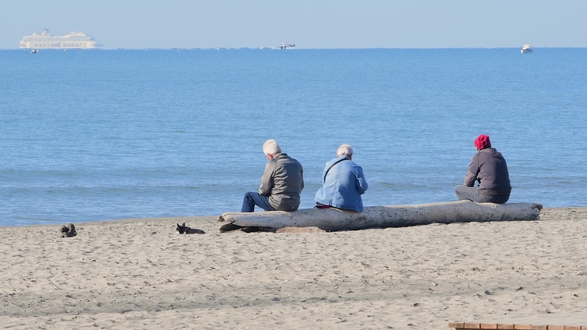 Elderly couple with a little dog spends time by the sea | Shutterstock HD Video #1094965357