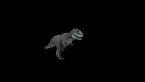 4k carnotaurus walk Transparent Alpha video Loop animation