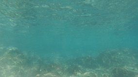 Peaceful undersea footage scene of the surface of the sea. Turquoise color sea water seascape. Below seawater view. 4K video slow motion.	