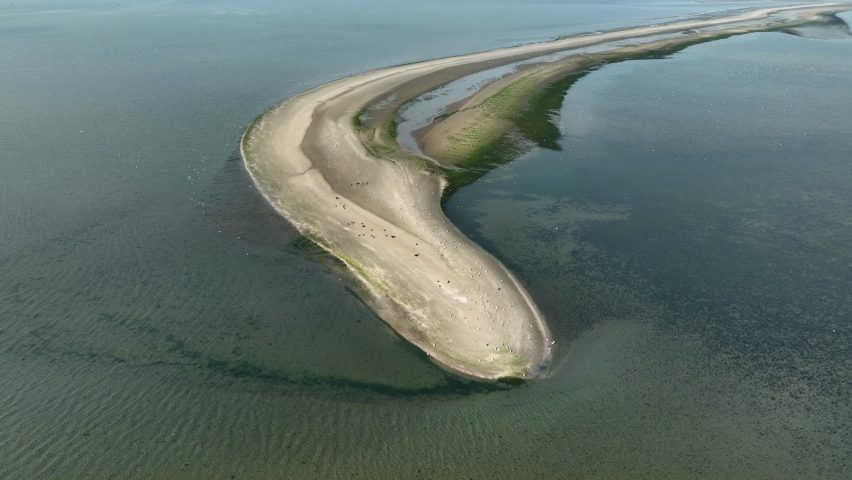 Aerial view of an isolated, seaside peninsula populated by birds on a sunny day