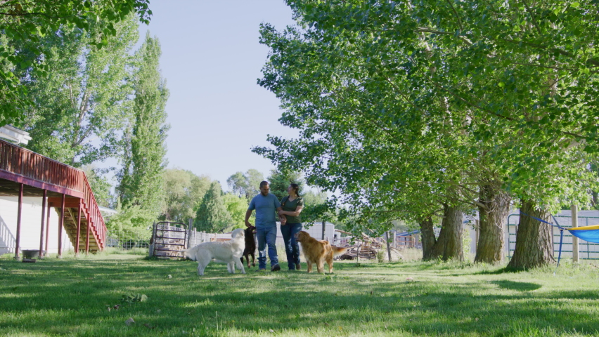 Picturesque natural landscape around local family farm. Man and woman training their dogs at barnyard of a countryside cottage. High quality 4k footage | Shutterstock HD Video #1094993665