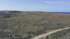 Drone aerial footage of wallabies jumping through grassland rising over a hill to Stokes Point Lighthouse at Surprise Bay on King Island in Tasmania in Australia