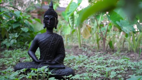 31 Gautam Buddha Stock Video Footage - 4K and HD Video Clips | Shutterstock 31 Gautam Buddha Stock Video Footage - 4K and HD Video Clips | Shutterstock