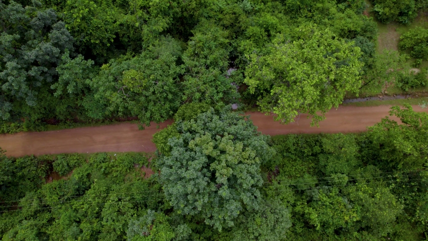 Aerial view of a car in jungle, Off-roading road trip through the forest | Shutterstock HD Video #1095004449