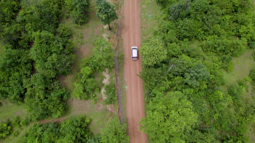 Aerial view of a car in jungle, Off-roading road trip through the forest | Shutterstock HD Video #1095004453