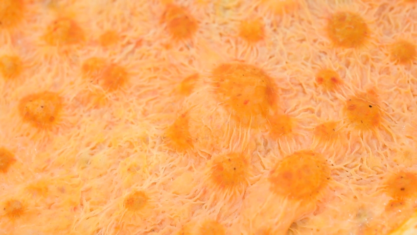 Abstract Yellow Fungus Background Texture