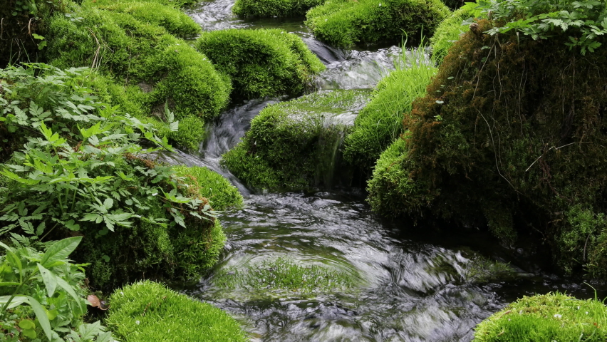 Cristal Clear Water Spring Flowing over green Moss covered Stones in a Forest - Julian Alps Slovenia Royalty-Free Stock Footage #1095006359