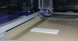 Automated Wood Painting Machine in Woodwork Factory Production