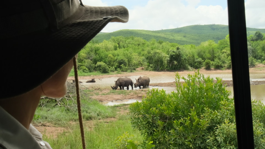girl traveler on safari watching rhinos Wild animal from the car. Mother and baby rhino getting ready to drink. This is Africa. White Rhino and calf seen at a waterhole on a safari in South Africa Royalty-Free Stock Footage #1095014141