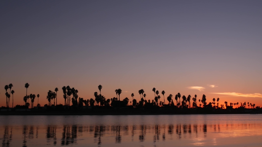 Many palm trees silhouettes on sunset ocean beach, California coast, USA. Reflection of purple pink orange tropical sky in calm water of Mission Bay Park, San Diego shore. Seamless looped cinemagraph.