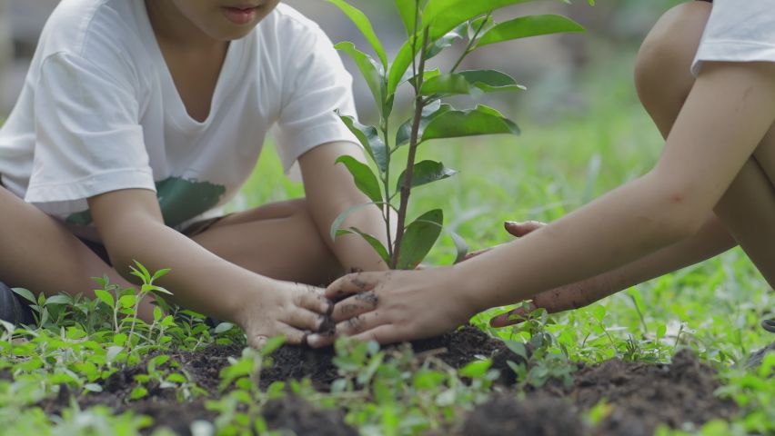 Children volunteer to plant a forest as a save world concept. Activities aimed at instilling a sense of reverence for the natural world and the environment Royalty-Free Stock Footage #1095046443