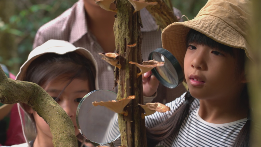 Children and Teachers explore the forest together with a magnifying glass, Knowledge outside the classroom, Exploration, Learning about Nature, Student, Weekend Activities, Hiking Royalty-Free Stock Footage #1095046447
