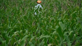 A scary scarecrow with luminous eyes in a cornfield against the backdrop of a stormy sunset. Halloween holiday concept - Powered by Shutterstock - Get 15% off with code: PIKWIZARD15