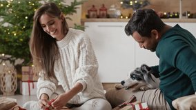 Multi ethnicity couple spending time with dogs at Christmas and packing last presents. Shot with RED helium camera in 8K.    