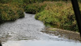 A clip of a stream of water in Aylestone Meadow.