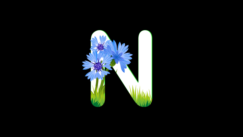 bounce text effect. MNO letter animation with flower decoration. alphabet MNO with transparent background. video with alpha channel
 Royalty-Free Stock Footage #1095062529