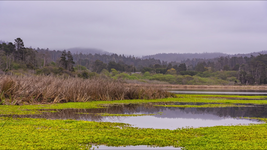 Fog Clouds Blow Over Serene Lake at Mackerricher State Park Mendocino Fort Bragg, CA Timelapse 
