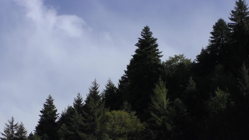 foggy sky in the mountains