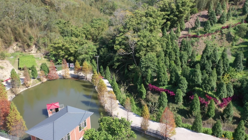 Aerial view of bald cypress trees growing on the green water with the leaves turning into red and orange colors on a sunny autumn day and tourists in a park in Sanwan Township, Miaoli County, Taiwan