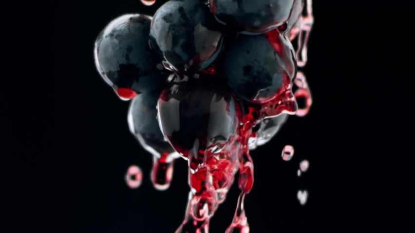Fresh black grapes rotation on isolated black background on super slow motion. Loop motion. Beautiful stock footage for wine commercial. Taste Luxury Grapes. Quality Creative Vine. Grapes close up.