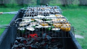 Vegetables on barbecue grill. Peppers and eggplants on an iron grate. Summer picnic atmosphere in the evening. Slow motion horizontal video