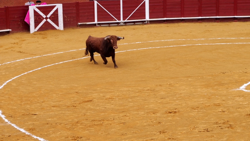 A bullring in Spain, slow motion