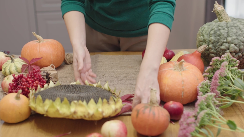 female hands making thanksgiving day preparations kitchen table pumpkins corn apples sunflower flowers red orange yellow brown colors flat lay autumn fall background. happy thanksgiving holiday