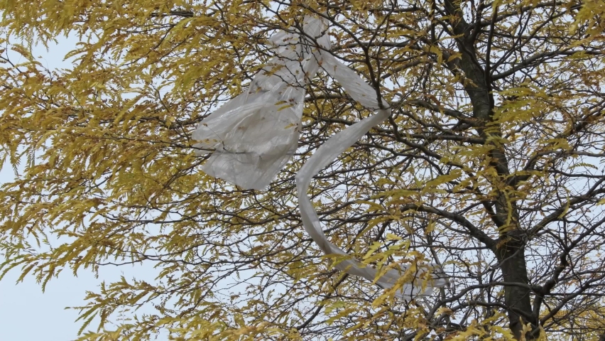 Plastic foil braided in tree branches swaying on the wind. Plastic pollution concept.  | Shutterstock HD Video #1095147175