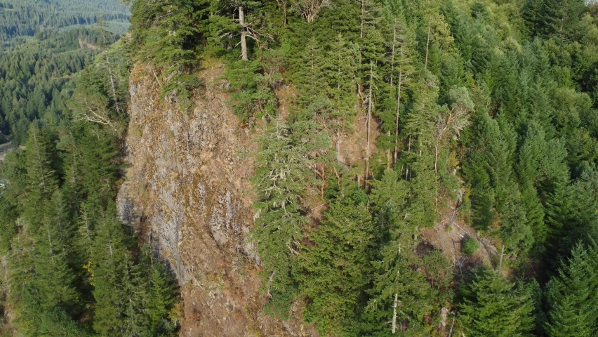 Aerial footage of circling around a rock face with evergreen and and madrone trees located in Lewis County, Washington.