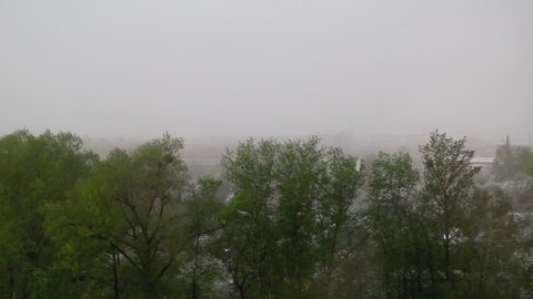 Hurricane Wind Shakes Trees City During Stock Footage Video (100% ...