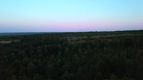 Aerial view and a sunset over meadow. Clip. Beautiful green fields and warm sunset sunlight.