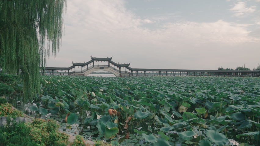 Chinese traditional bridge over lotus pond. Static