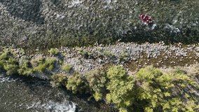 Rafting in the Koprulu Canyon Drone Video, Koprulu Canyon National Park Manavgat, Antalya  Turkey