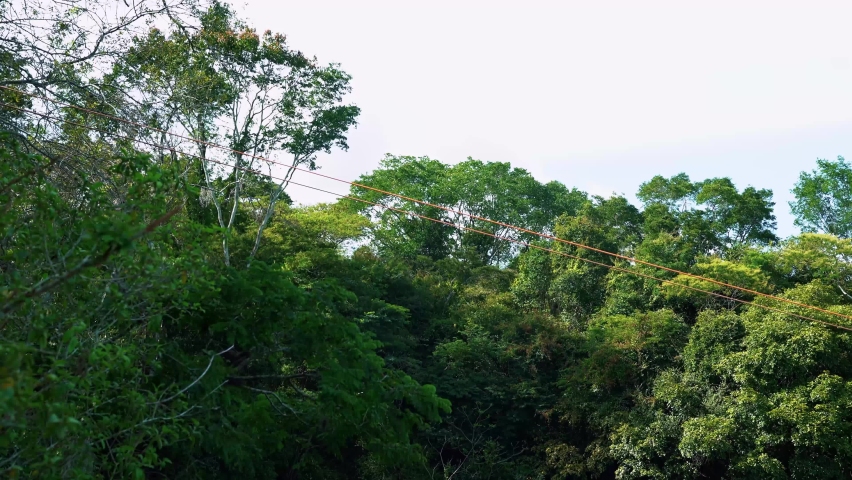 Tilting down shot from above revealing a stunning natural crystal clear turquoise pool inside of the Pratinha farm resort in Chapada Diamantina in Bahia, eastern Brazil.