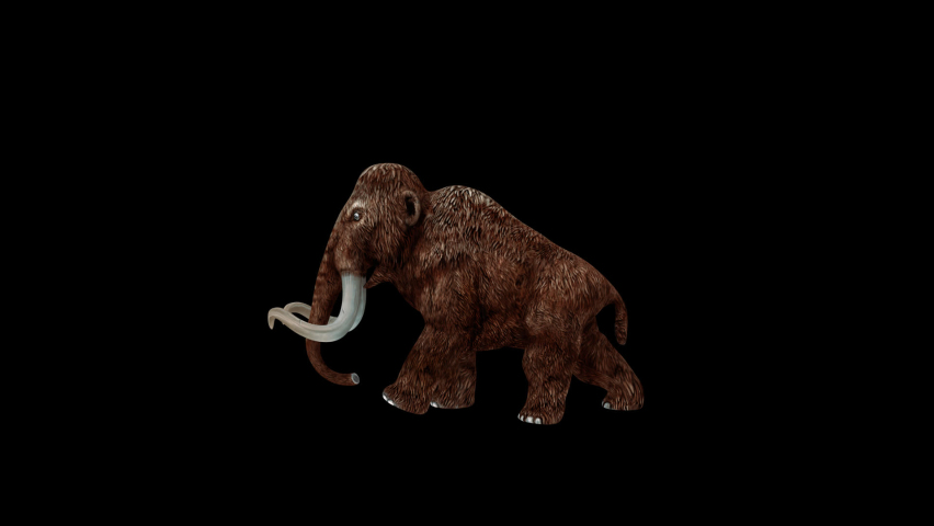 Mammoth Walk animation.Full HD 1920×1080.8 Second Long.Transparent Alpha video.LOOP.