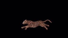 Jaguar Running , Animation.Full HD 1920×1080.Transparent Alpha Video. LOOP.