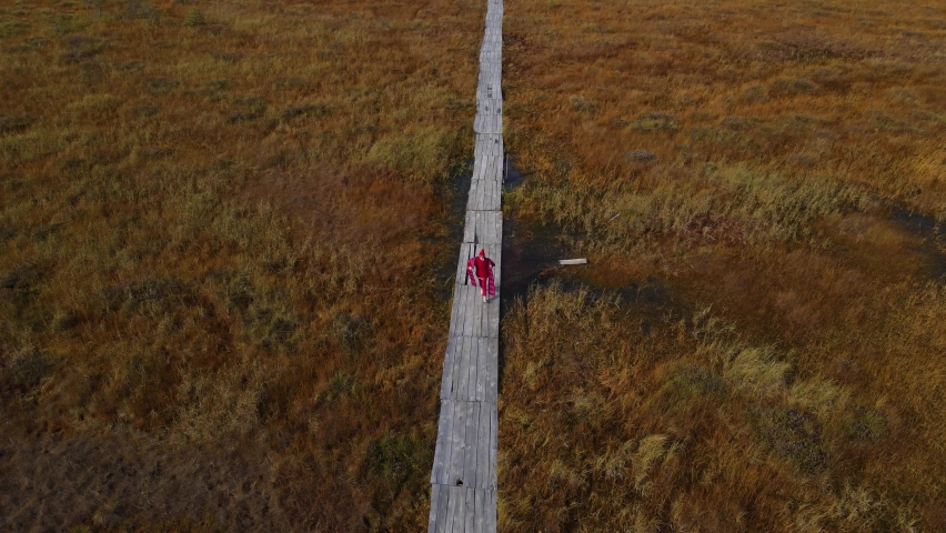 fashionable woman in a red sweater , hat and scarf walks along a trail of planks through a swamp in autumn in Yelnya in Belarus