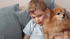 Happy boy with his German Spitz dog is sitting on a bed with pillows and reading a book. A child hugs a red dog and examines a book. Friendship with a pet. Slow motion 4k video